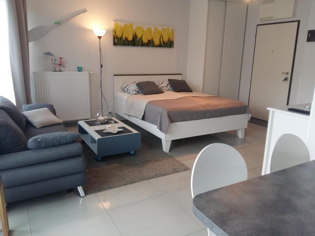 Gracja Horyzont-Apartament Z Parkingiem เมียนซิดดรอแย ภายนอก รูปภาพ